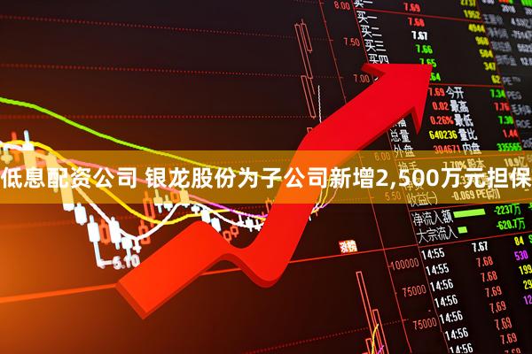 低息配资公司 银龙股份为子公司新增2,500万元担保