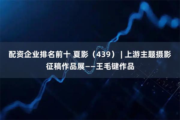 配资企业排名前十 夏影（439） | 上游主题摄影征稿作品展——王毛键作品